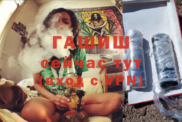 прущие грибы Кулебаки