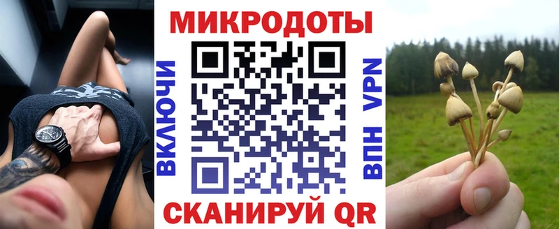 Псилоцибиновые грибы Psilocybine cubensis  OMG как войти  Нижний Ломов  как найти закладки 